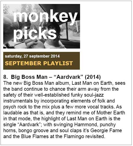 Monkeyboxing Big Boss Man Aardvark